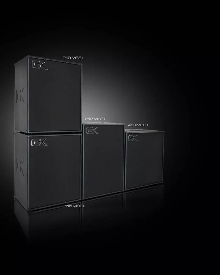 400-Watt, 8-Ohm 115 Bass Cabinet